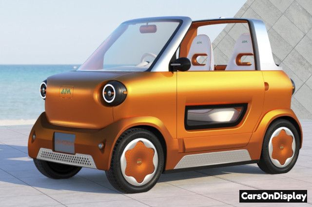 Aim EV Micro 01