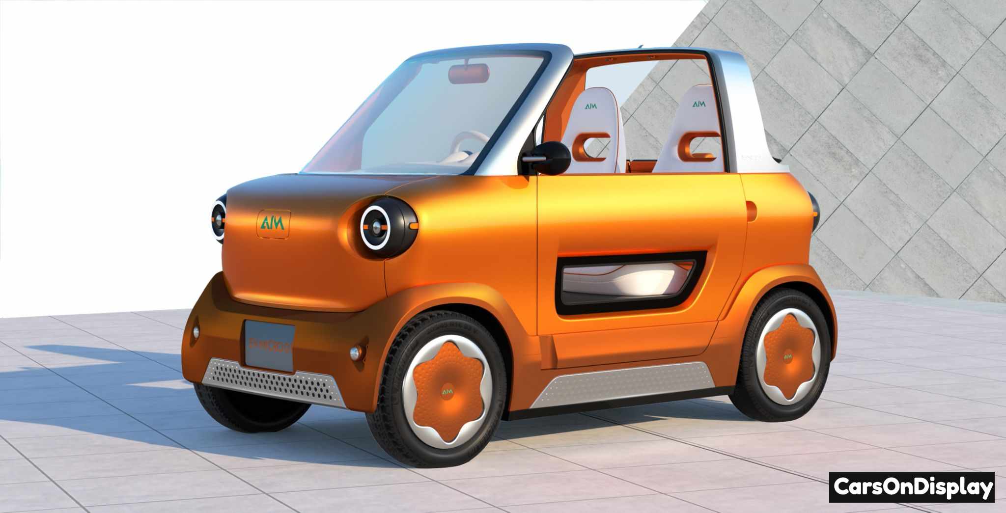 Aim EV Micro 01