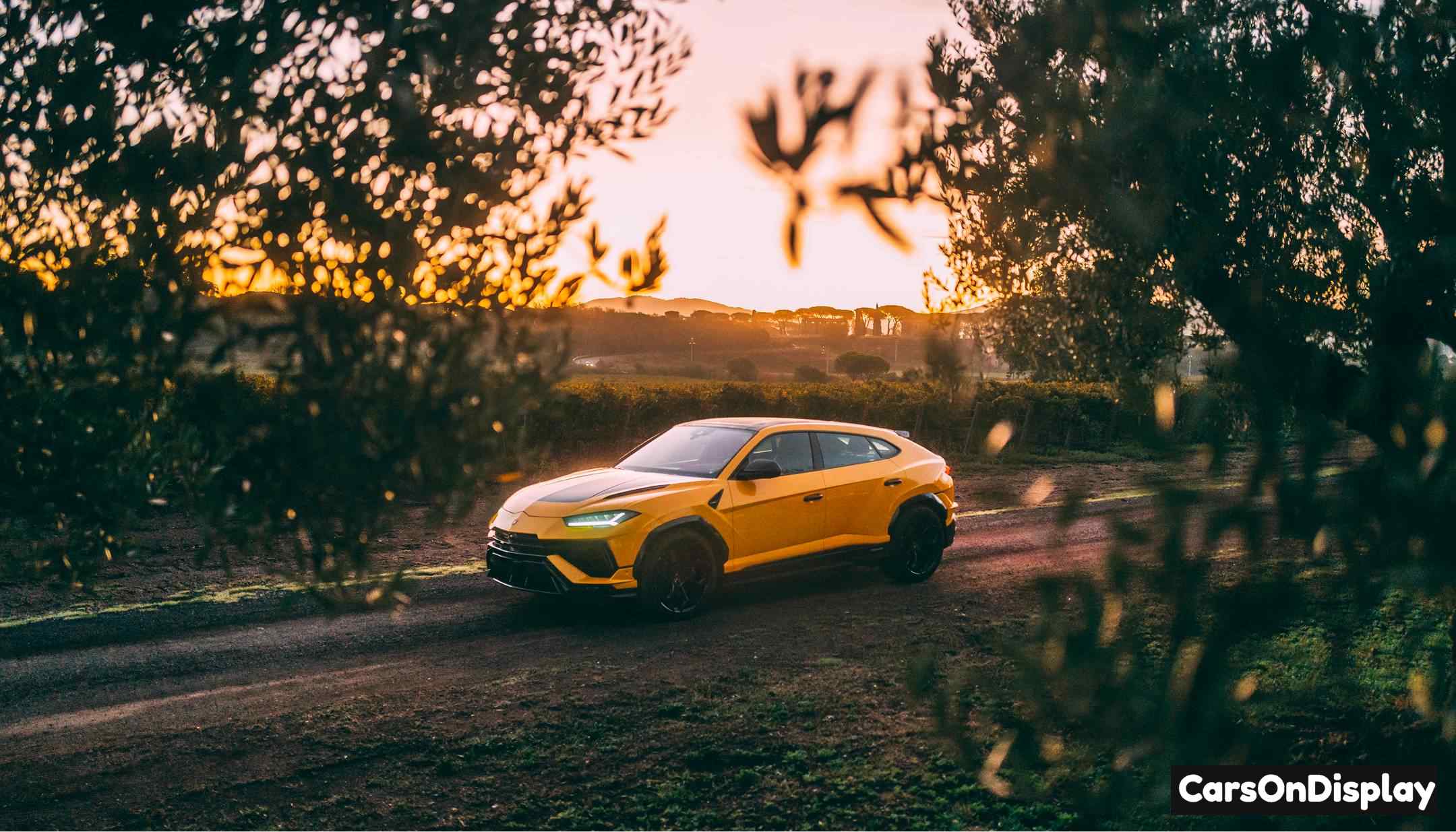 Lamborghini Urus Performante