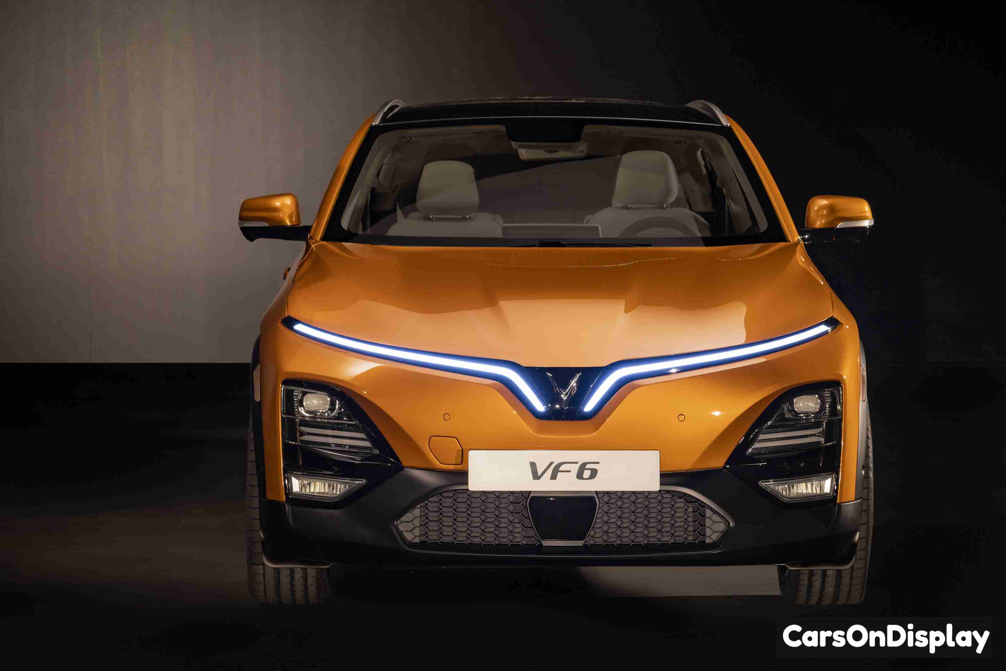VinFast VF 6